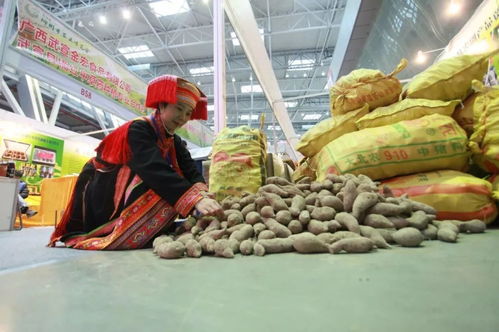 2019柳州農(nóng)博會 萬種珍品薈萃，盡顯現(xiàn)代農(nóng)業(yè)風(fēng)采